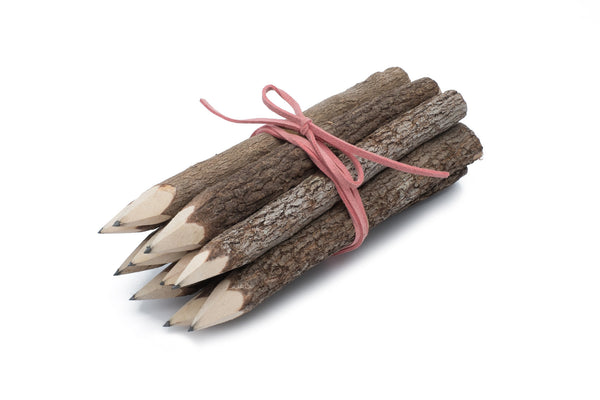 Bunch of Branch Twig Black Pencils Set of 10 size 7" with Pink Wrap
