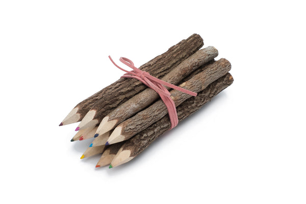 Bunch of Branch Twig Color Pencils Set of 10 size 7" with Pink Wrap