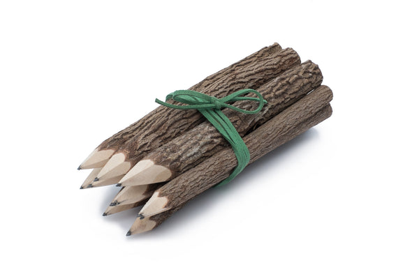 Bunch of Branch Twig Black Pencils Set of 10 size 7” with Green Wrap