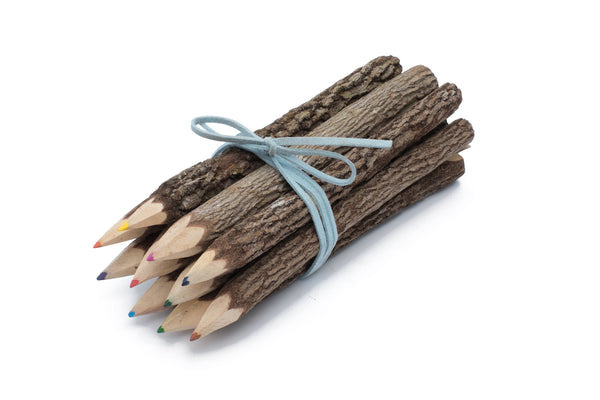 Branch Twig Color Pencils Set of 10 size 7” with Blue Wrap